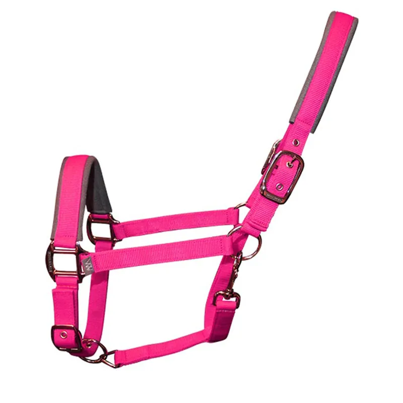 Woof Wear Contour Headcollar in Berry
